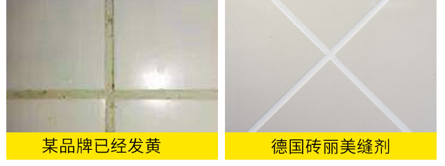 德國(guó)磚麗美縫劑_美縫膠_創(chuàng)業(yè)_加盟_招商_代理.jpg